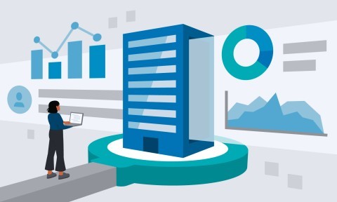 The Role of Business Analysis in Data Analytics