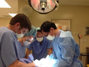 Nika Girenko learning surgical techniques in her internship 